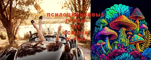 амф Балахна