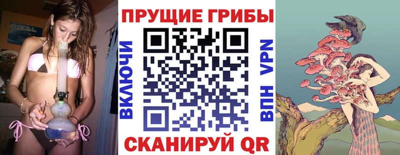 что такое наркотик  hydra вход  Псилоцибиновые грибы Psilocybine cubensis  Пыталово 